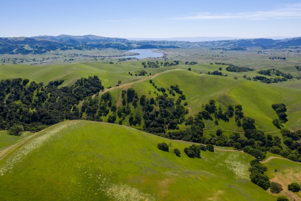 Northern California brush clearing 1