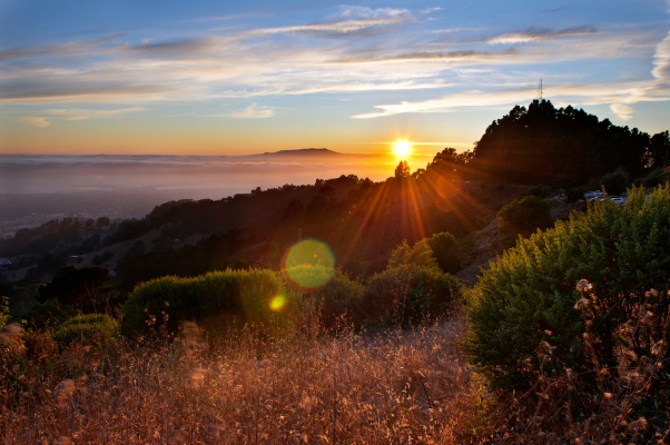 How Brush Clearing Services Help Protect Homes and Businesses From Wildfires